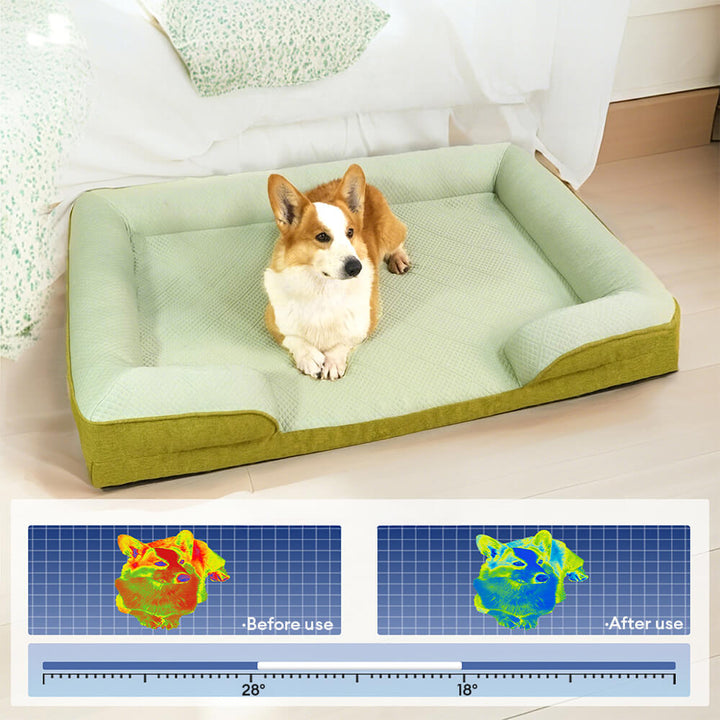 Komfortables XL-Hundesofa, orthopädisch und kühlend. Perfekt für große, alte Hunde.