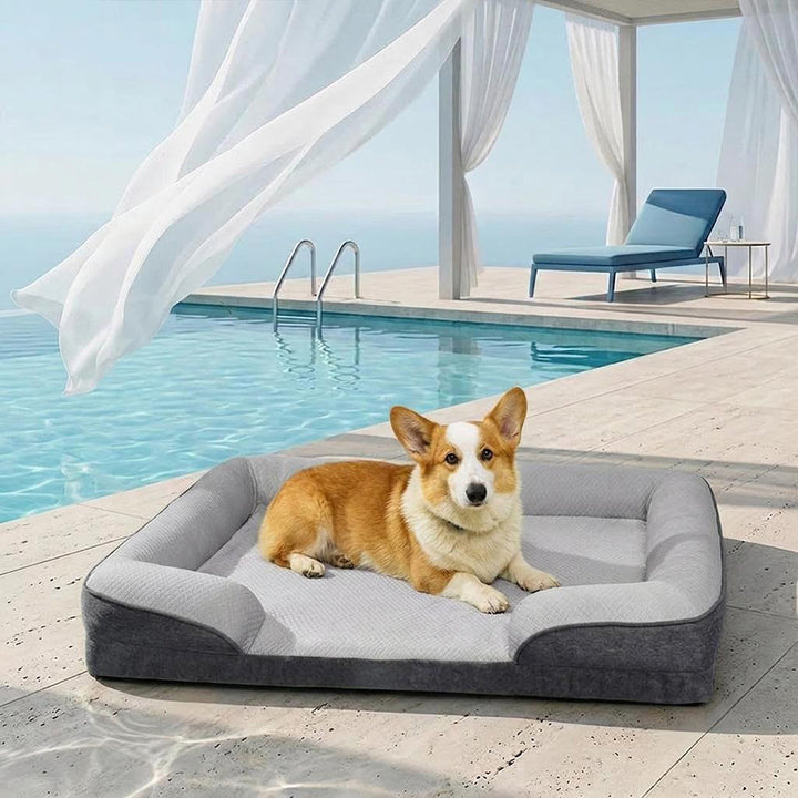 Orthopädisches XL-Hundebett, kühlend, waschbar. Ideal für ältere oder große Hunde.