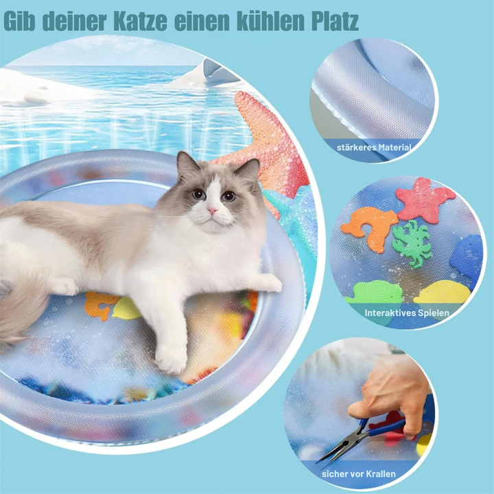 Glückliche Katze spielt und entspannt auf ihrem kühlenden Wasserbett; perfektes Katzenspielzeug.
