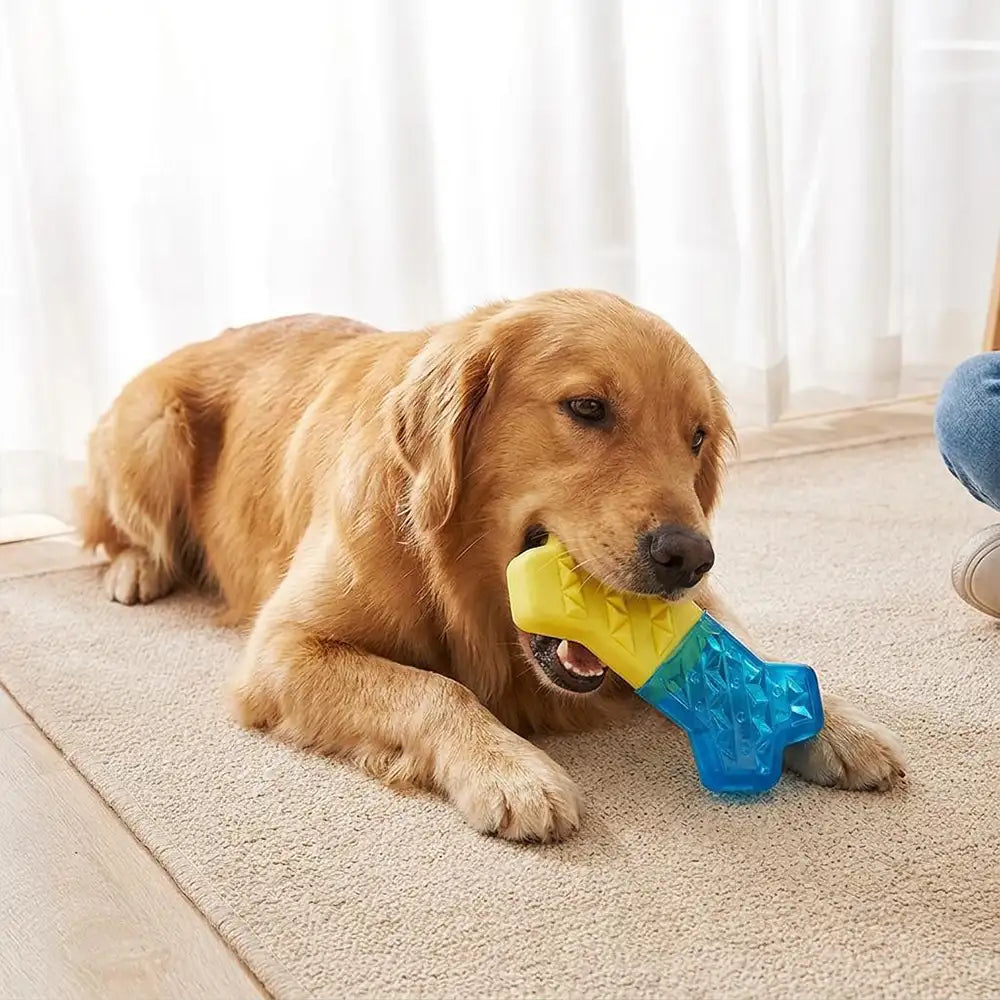 Vielseitiges Hundespielzeug: kühlende Zahnungshilfe für Welpen & Kauer, robustes TPR-Kauvergnügen.