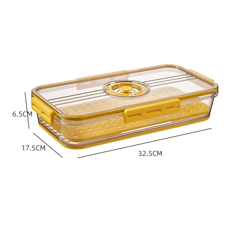 Große Frischhaltebox für Kühlschrank, perfekt für Salat, Gemüse & Obst.