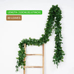 80leaves-C