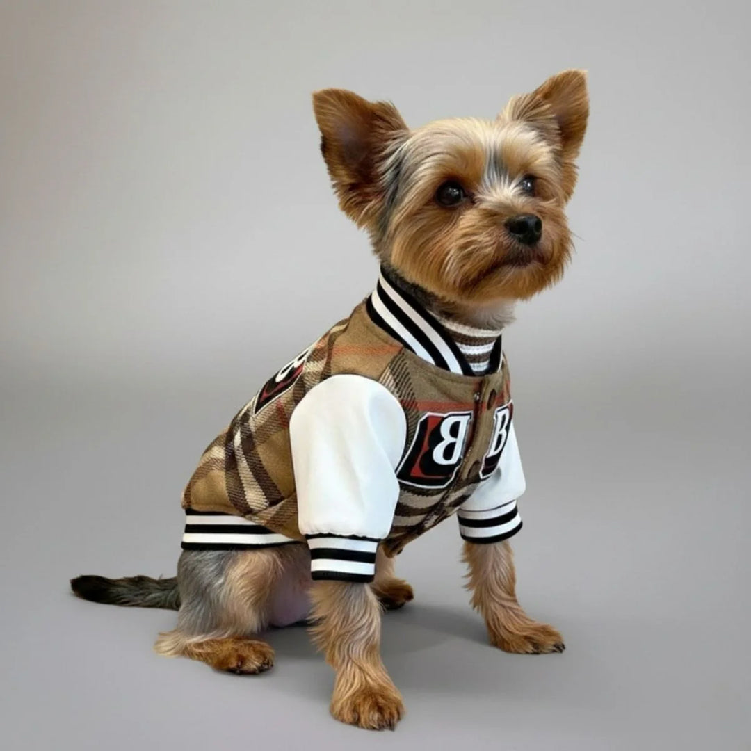 Karierte Hundejacke im sportlichen Baseball-Stil. Bequeme Hundebekleidung und modische Hundemode für Freizeithunde.