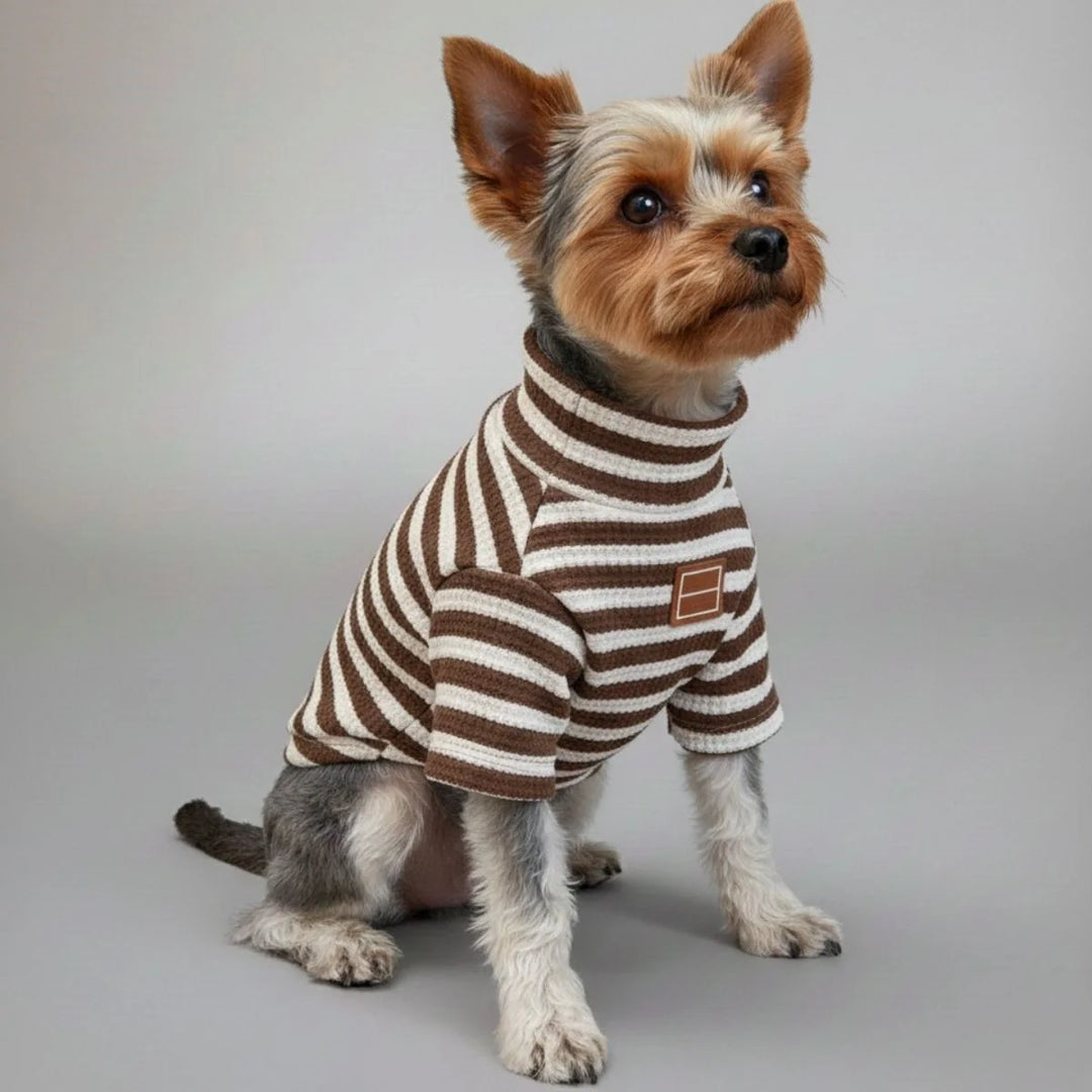 Sportliche, karierte Hundejacke für den aktiven Freizeithund. Gemütliche Haustierkleidung für jeden Spaziergang.