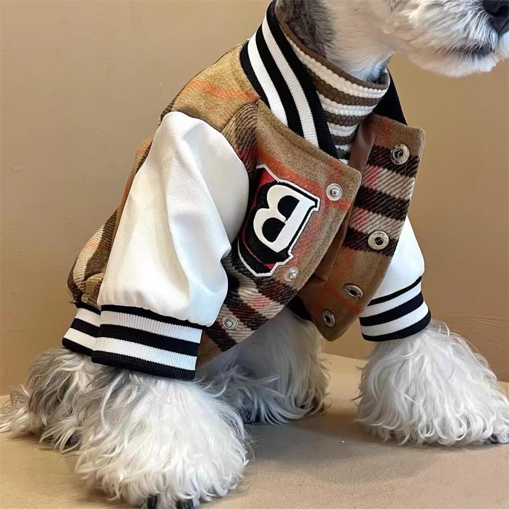 Modische Hundebekleidung: karierte Baseballjacke für Hunde. Stilvolle Hundemode für sportliche Vierbeiner.
