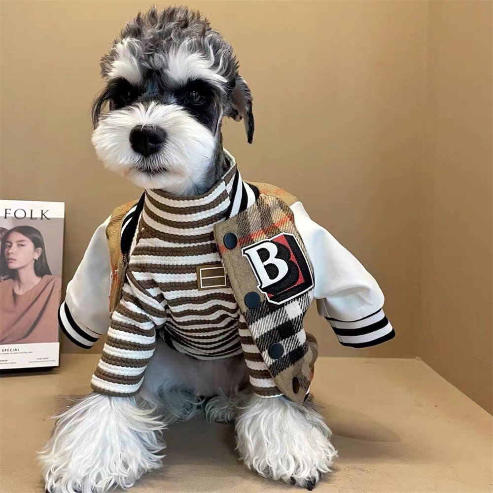 Hund trägt stylische karierte Hundejacke. Perfekte sportliche Hundebekleidung und Hundemode für kalte Tage.