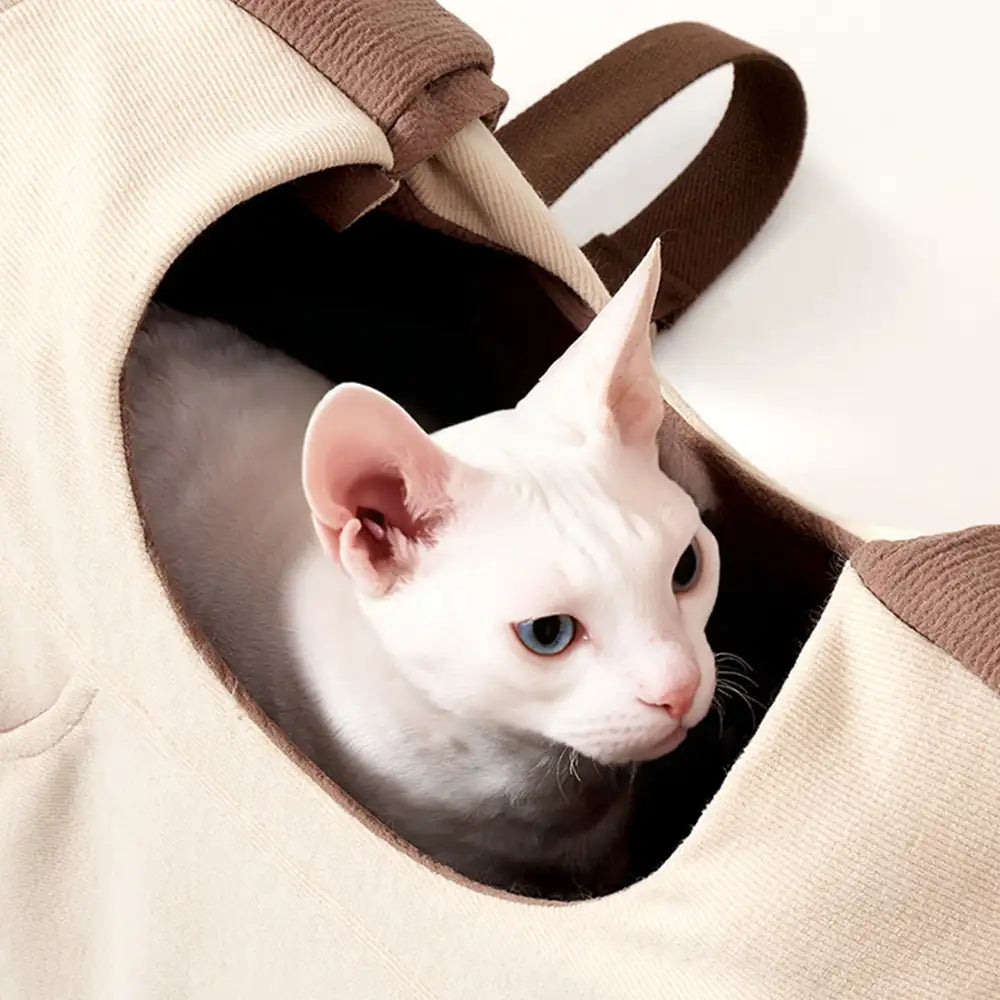Besitzer trägt Katze im ergonomischen Frontrucksack, Hände frei beim Spaziergang.