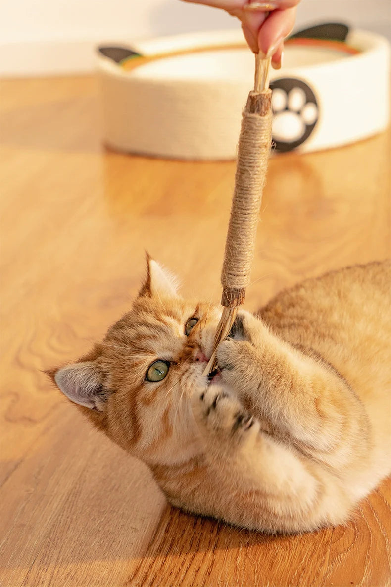 Hochwertige Kausticks für Katzen: Naturprodukt für Zahnpflege, Mundhygiene und Spielspaß bei Katzen.