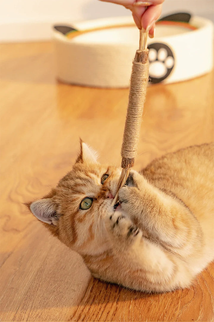 Hochwertige Kausticks für Katzen: Naturprodukt für Zahnpflege, Mundhygiene und Spielspaß bei Katzen.