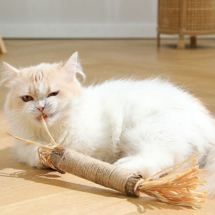 Effektive Zahnpflege für Katzen: Natur-Kausticks, die Plaque reduzieren und frischen Atem fördern.