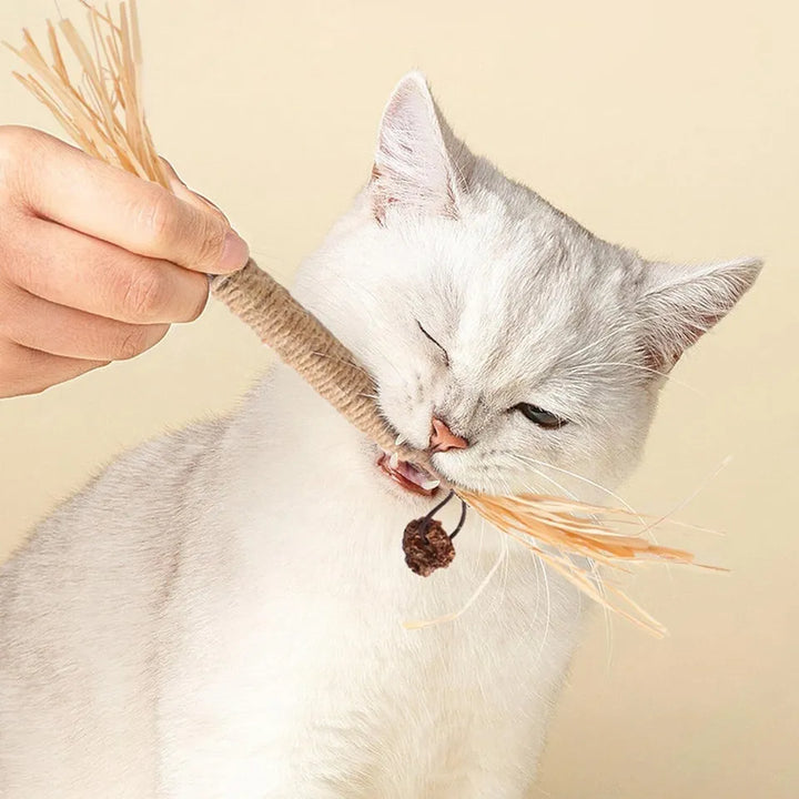 Katzenspielzeug mit Mehrwert: Zahnreinigungs-Sticks unterstützen die Mundhygiene und unterhalten Katzen.