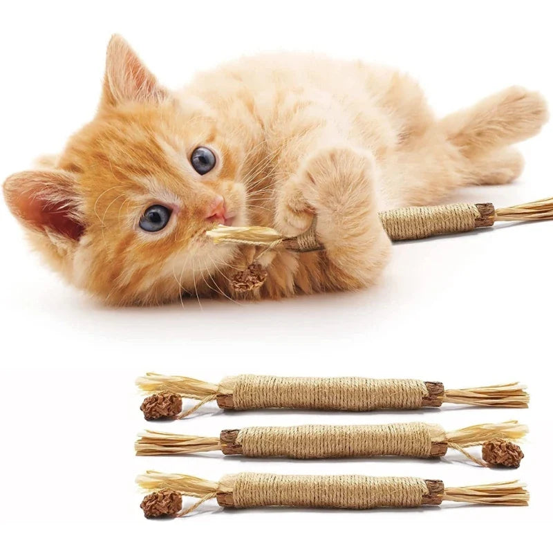 Detaillierte Ansicht der Zahnreinigungs-Sticks für Katzen, ideal für Plaqueentfernung und gesunde Zähne.