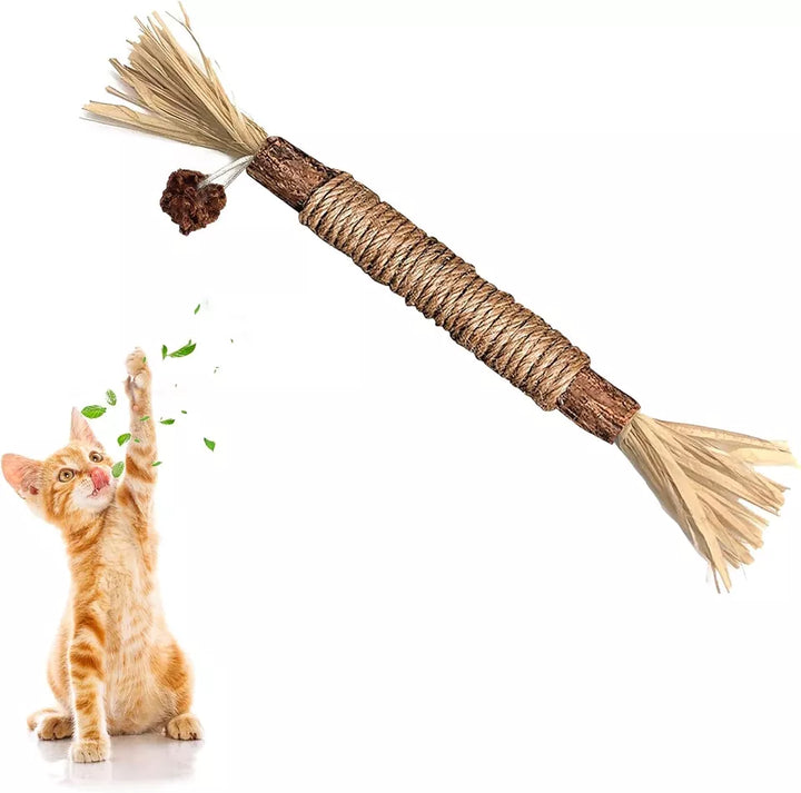 Ihre Katze genießt natürliche Zahnpflege: Effektive Kausticks für frischen Atem und starke Zähne.
