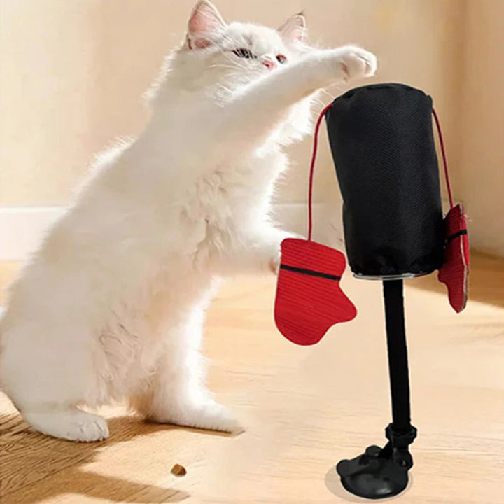 Eine verspielte Katze schlägt gegen den Katzen Boxsack, fördert Aktivität & Energieabbau. Interaktives Katzenspielzeug.
