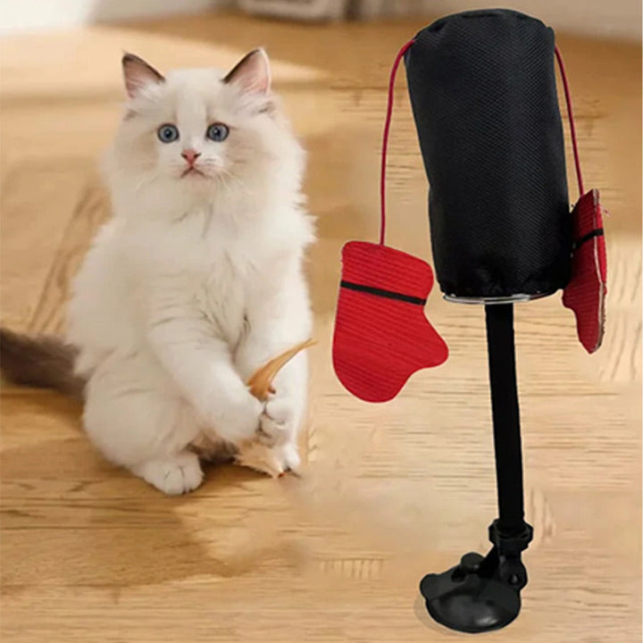 Robuster Katzen Boxsack mit kratzfester Oberfläche; langlebiges interaktives Spielzeug für Katze & Kätzchen.