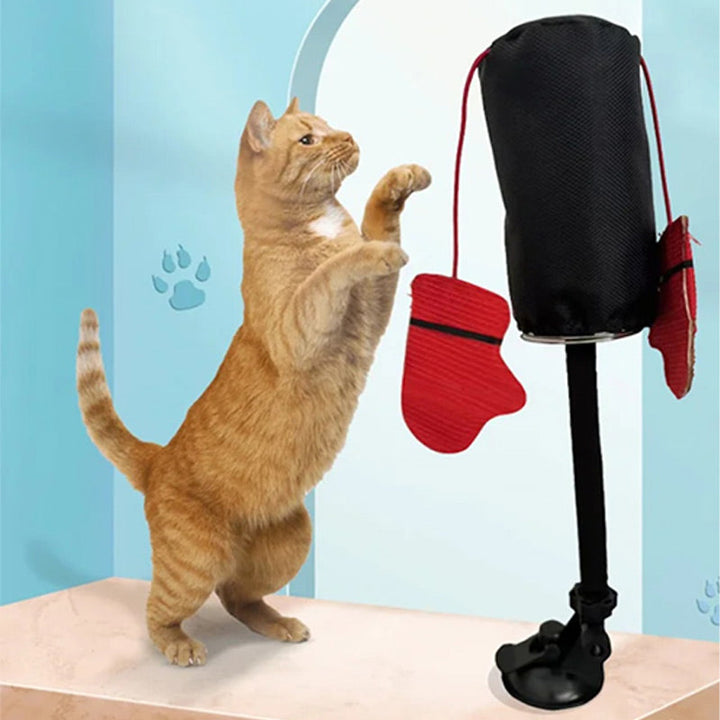 Katzenfitness mit dem Boxsack: Verbessert Geschicklichkeit, fördert Energieabbau & Bindung zum Haustier.
