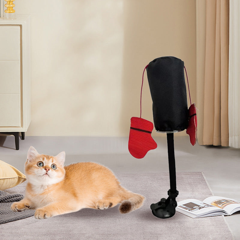Eine Katze springt und spielt enthusiastisch mit dem Katzen Boxsack; tolles interaktives Katzenspielzeug.