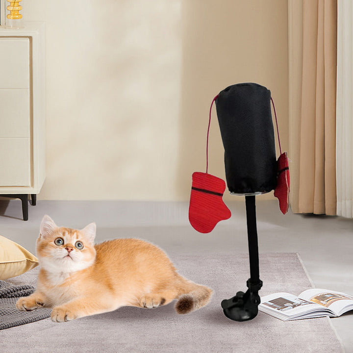 Eine Katze springt und spielt enthusiastisch mit dem Katzen Boxsack; tolles interaktives Katzenspielzeug.
