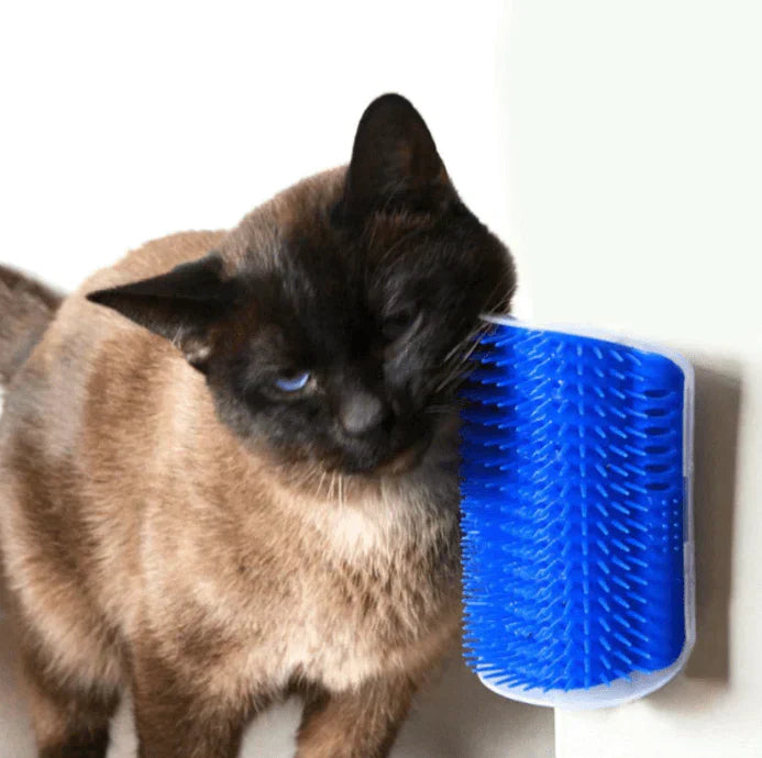 Katzen-Eckbürste zur Selbstpflege, ideal für komfortable Fellpflege & Massage von Stubentigern.