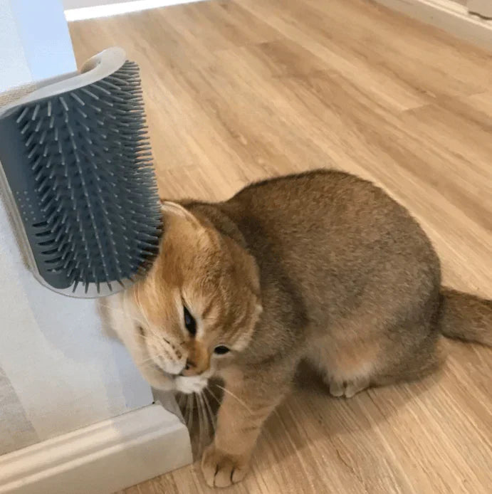 Praktische Eckbürste für Katzen zur eigenständigen Fellpflege & sanften Massage, reduziert Haare.