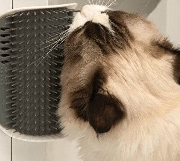 Fellpflege-Eckbürste für Katzen, zur Selbstpflege, Haarentfernung & Wohlbefinden des Haustieres.