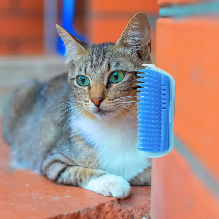 Tierpflege-Eckbürste für Katzen, unterstützt Selbstpflege, entfernt Unterwolle & lose Haare.