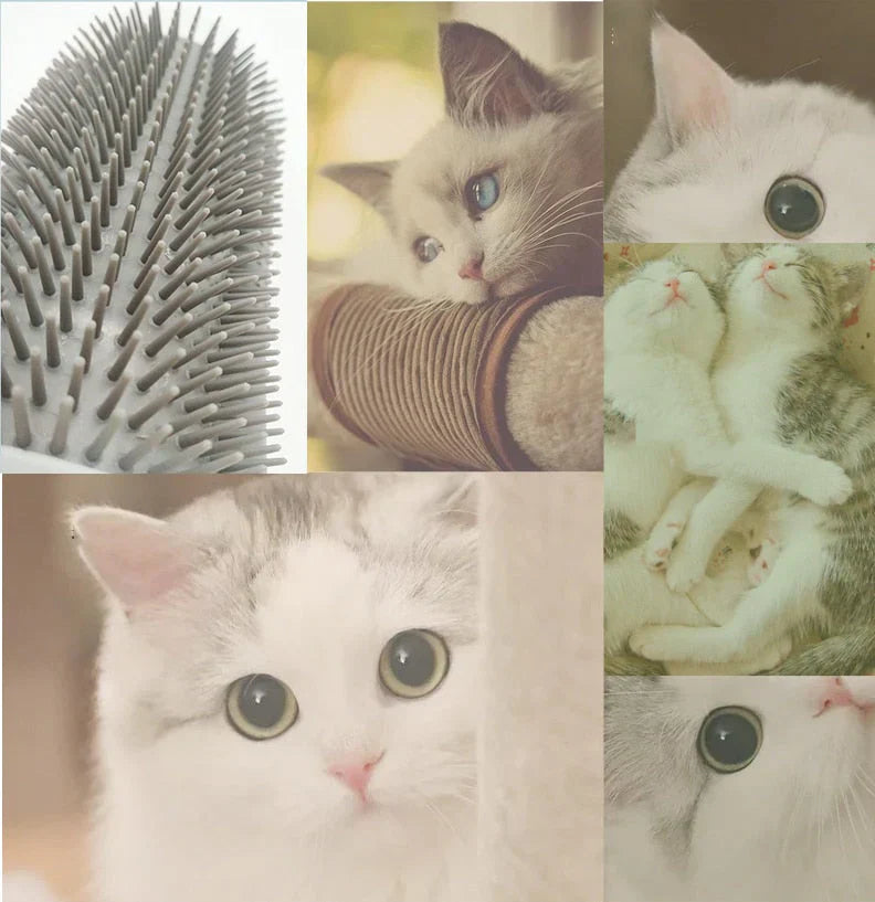 Innovatives Katzenzubehör: Eckbürste für Selbstpflege, Massage & effektive Fellreinigung.