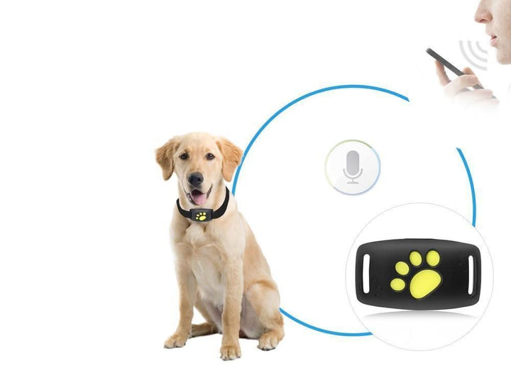 Kompakter Katzen GPS Tracker für zuverlässige Echtzeit-Ortung. Unverzichtbare Haustiersicherheit & Seelenfrieden.