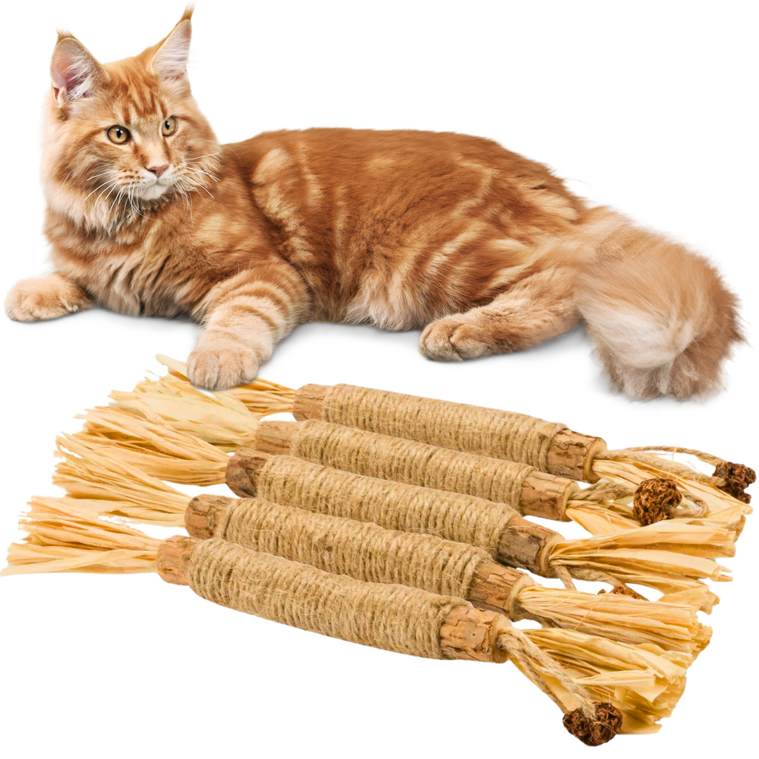 Katzen Kaustangen aus natürlichem Silvervine für interaktiven Spielspaß und Zahnpflege. Gesundes Katzenspielzeug.