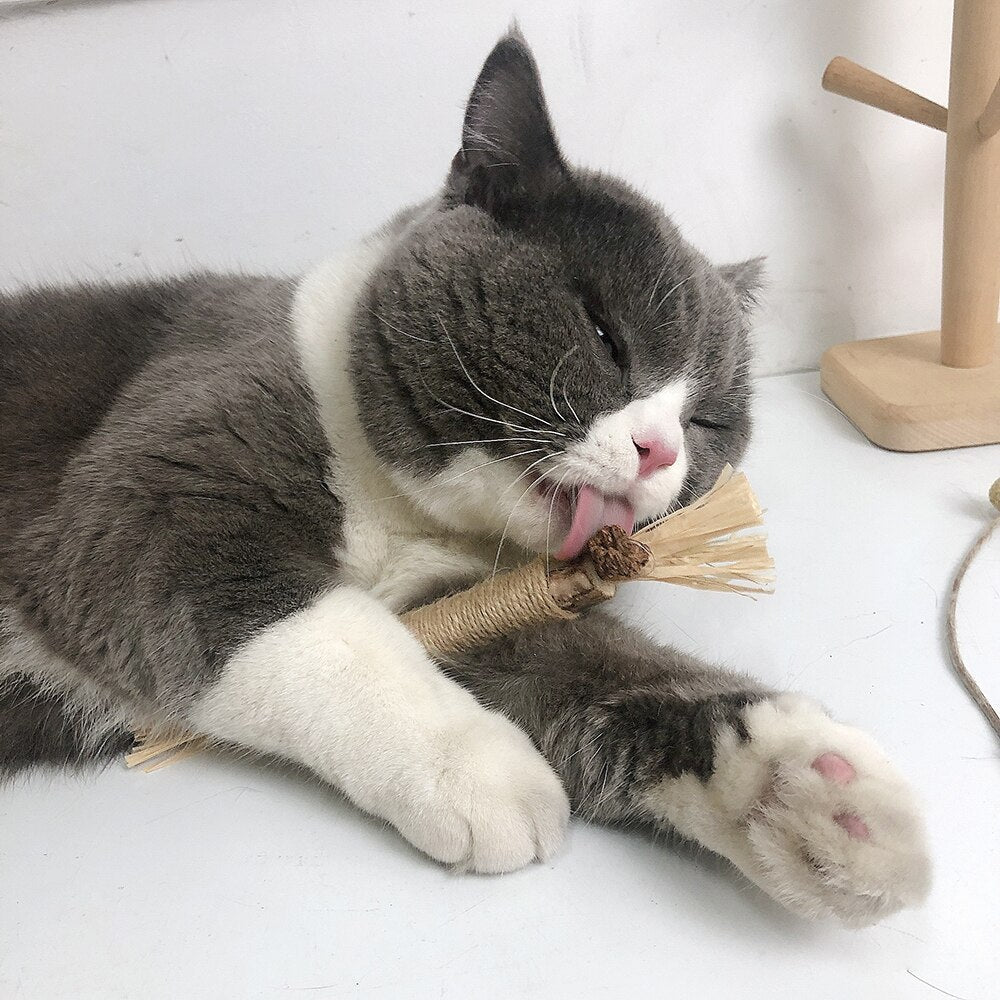 Interaktive Silvervine Kaustange für Katzen. Fördert Zahnpflege, reduziert Stress und bietet natürlichen Katzenspaß.