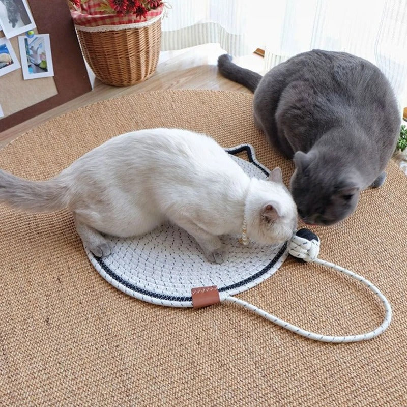 Hochwertige Sisal-Kratzmatte für Katzen; schützt Möbel und bietet gesunde Krallenpflege.