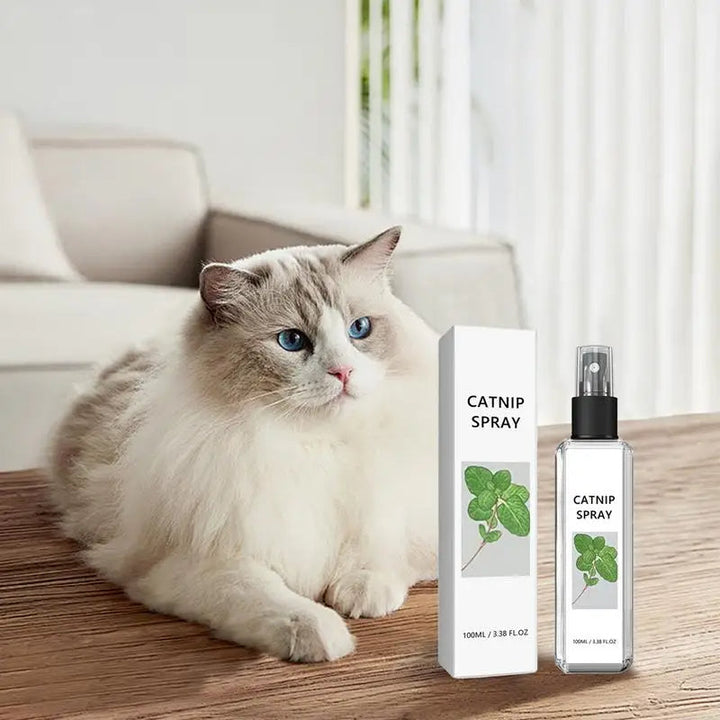 Entspannte Katze dank Silberwein Katzenspray. Fördert Wohlbefinden, reduziert Stress & Ängste. Natürliches Produkt.