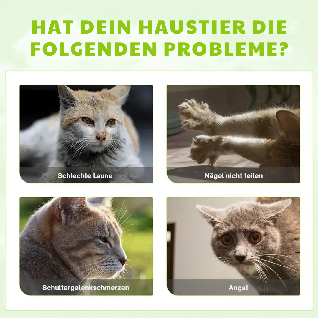 Silberwein Katzenspray auf Spielzeug gesprüht, fördert Aktivität & Entspannung. Gegen Stress bei Katzen, natürliches Tierwohl.