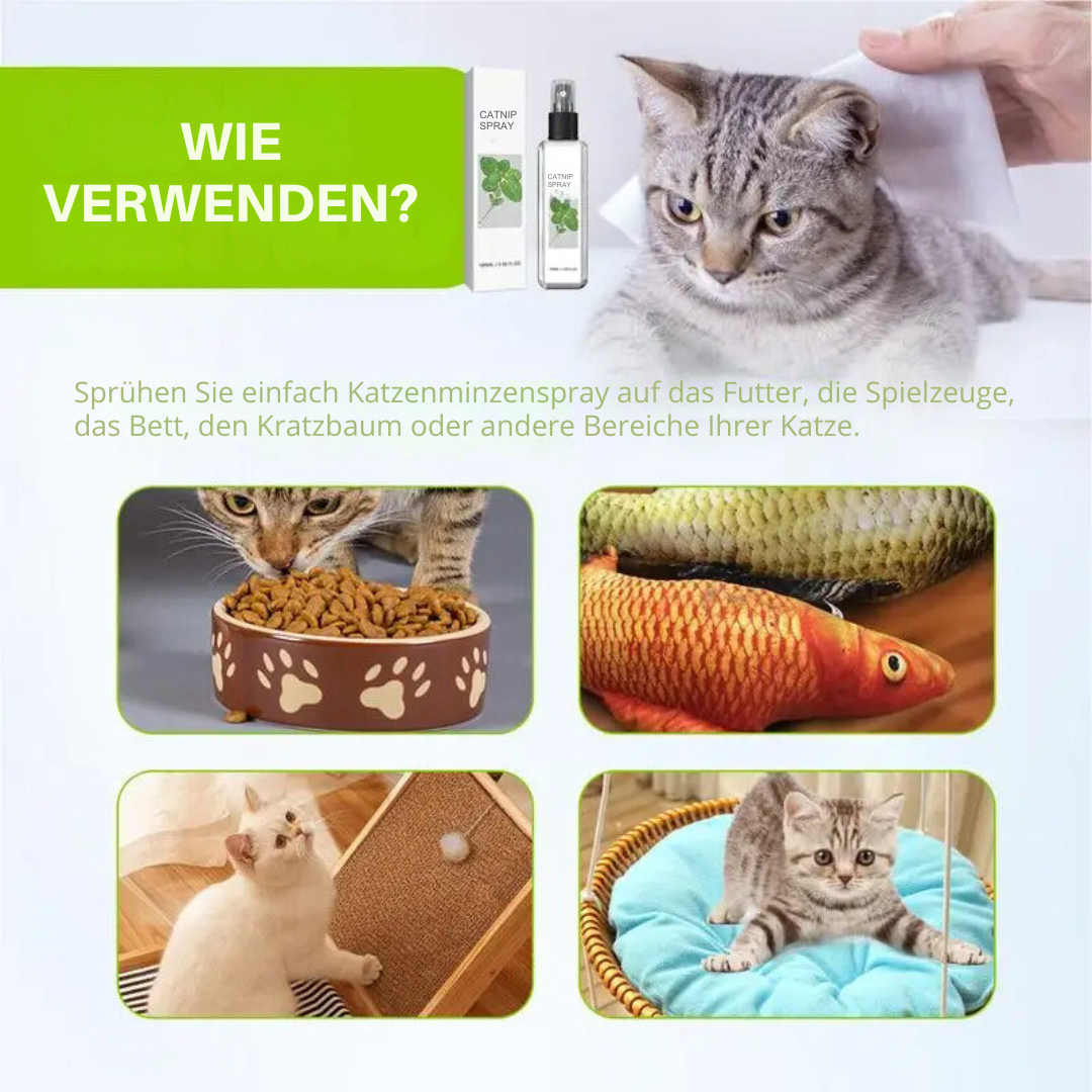 Natürliches Katzenspray mit Silberwein & Katzenminze für Entspannung. Anti-Stress bei Katzen, Tierwohl im Fokus.