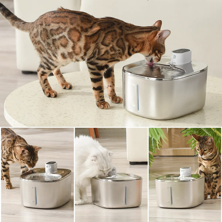 Edelstahl Trinkbrunnen für Katzen, 4l Kapazität; hygienischer Wasserspender für sauberes, gefiltertes Wasser.