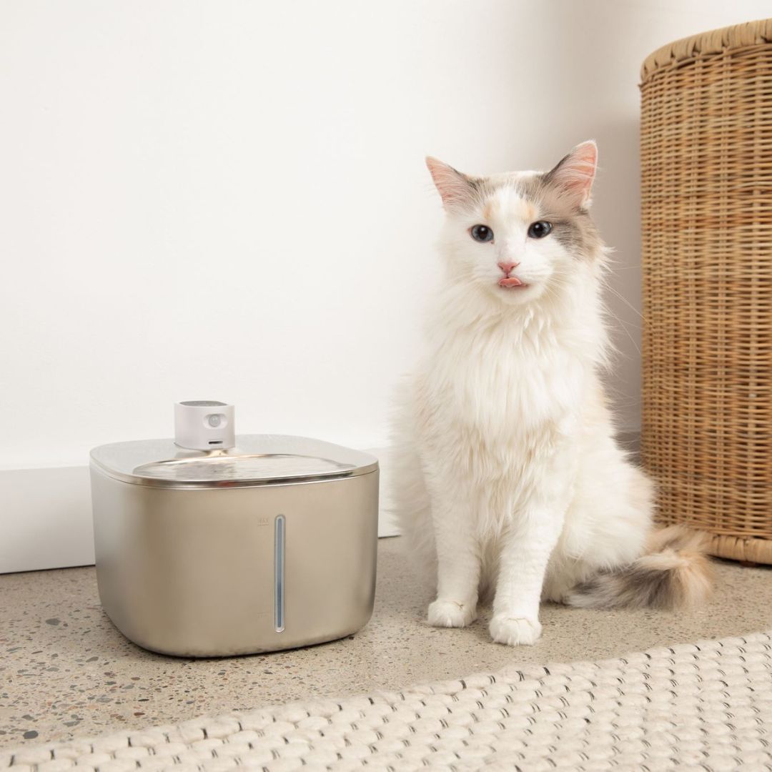 Kabelloser & leiser Katzenbrunnen, 4l; Haustier Wasserspender für gesunde Hydration & frisches Trinkwasser.
