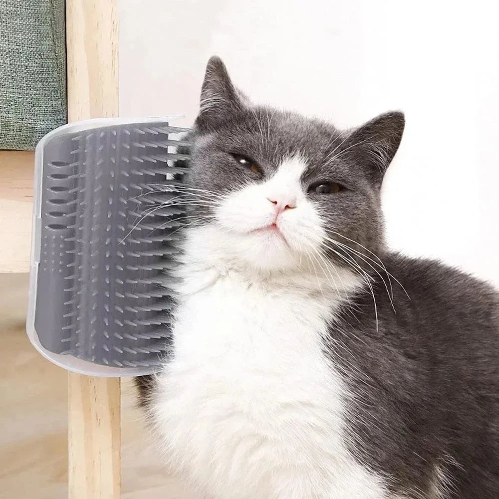 Glückliche Katze genießt entspannende Fellpflege mit der Wandbürste, angereichert mit stimulierender Katzenminze.