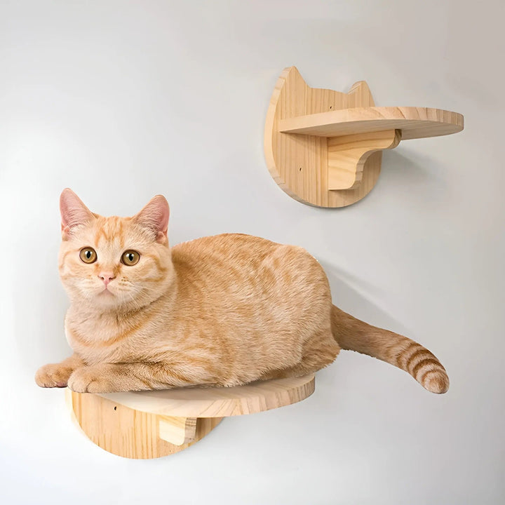 Katzen-Wandkletterbrett ClimbPaws mit Kratzsäule, Hängematte für Spiel & Entspannung.