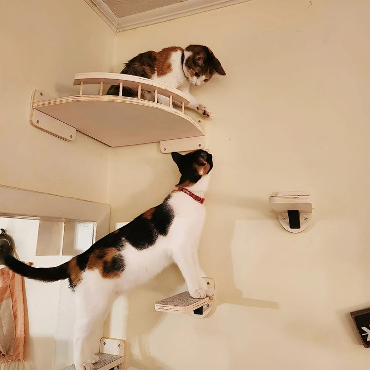 Komplettes ClimbPaws Katzen-Wandkletterbrett mit Kratzsäule, Hängematte und mehreren Kletterstufen.