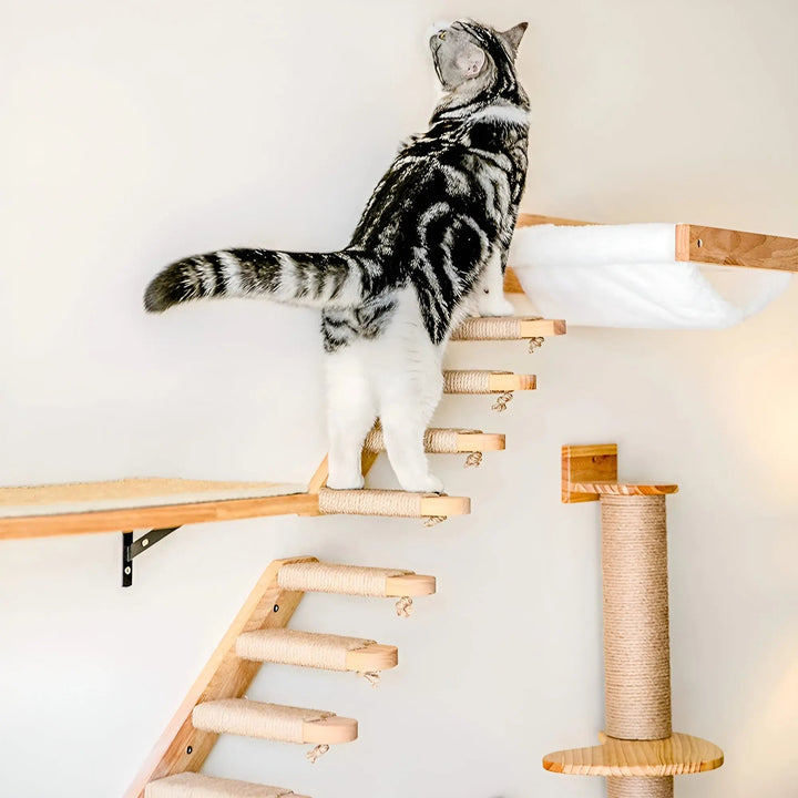 ClimbPaws Katzen-Wandkletterbrett, robustes Katzenmöbel mit Sisal-Kratzsäule und bequemer Hängematte.