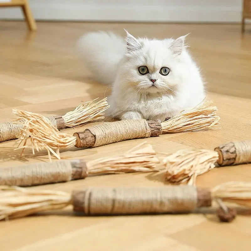 Katzen Zahnreinigungs-Sticks: Tägliche Zahnpflege für gesunde Zähne, frischen Atem & Plaque-Reduktion.