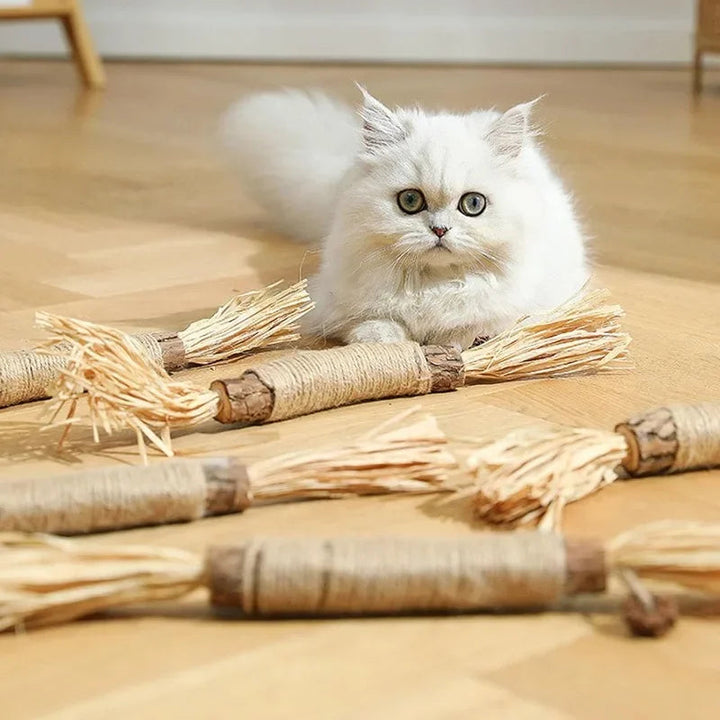 Katzen Zahnreinigungs-Sticks: Tägliche Zahnpflege für gesunde Zähne, frischen Atem & Plaque-Reduktion.