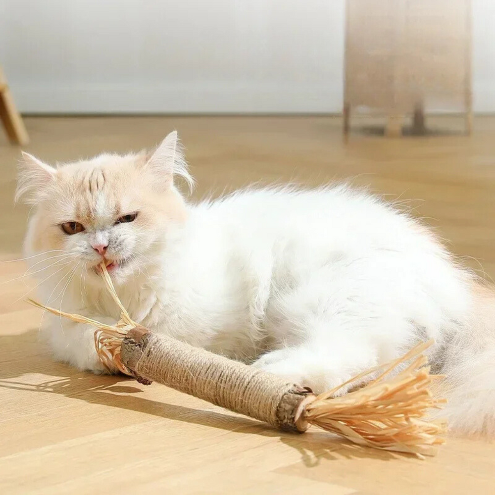 Robuste Katzenkausticks zur Plaque-Reduktion. Fördern Zahngesundheit und frischen Atem bei Katzen.