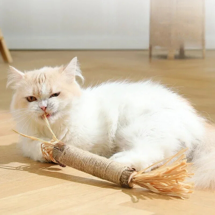 Robuste Katzenkausticks zur Plaque-Reduktion. Fördern Zahngesundheit und frischen Atem bei Katzen.