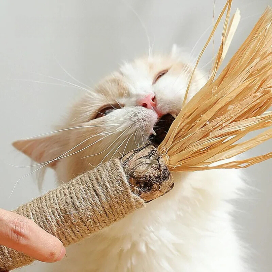 Zahnpflege-Sticks für Katzen: Effektive Zahnreinigung, reduzieren Zahnstein und sorgen für frischen Atem.