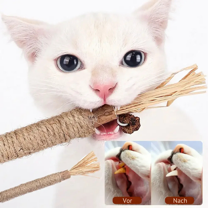 Natürliche Katzensticks für Zahnpflege. Unterstützen gesunde Zähne, reduzieren Plaque und erfrischen den Atem.
