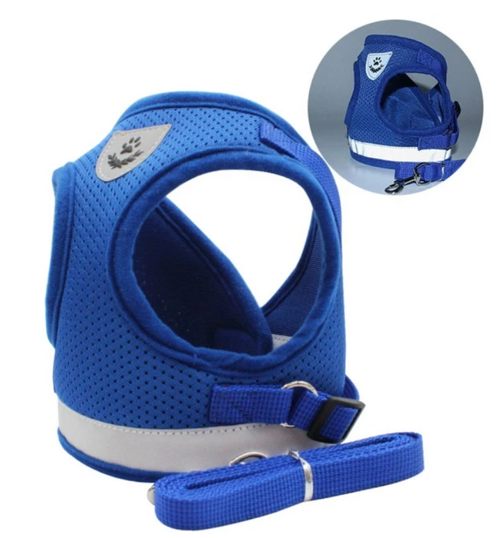Ergonomisches Katzengeschirr mit Leine, ideal für kontrollierte & sichere Katzen-Spaziergänge.