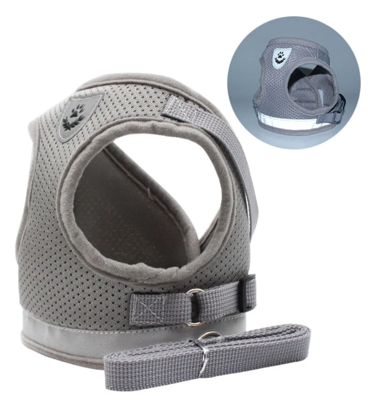 Katzengeschirr & Leine Set, speziell für Haustiere, die sicher draußen spazieren möchten.