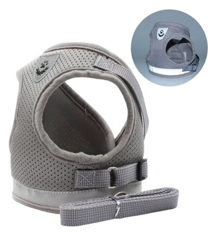 Katzengeschirr & Leine Set, speziell für Haustiere, die sicher draußen spazieren möchten.
