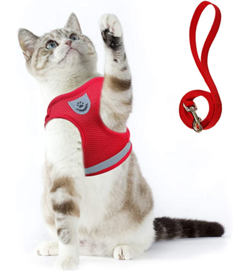 Leichtes Katzengeschirr mit Leine, kein Ziehen, komfortabel für lange Katzen-Spaziergänge.